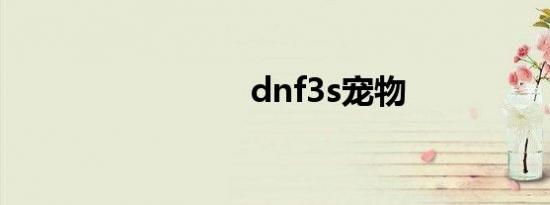 dnf3s宠物