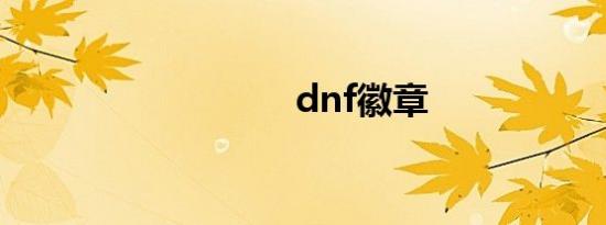 dnf徽章