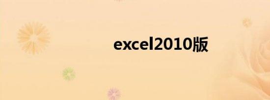 excel2010版