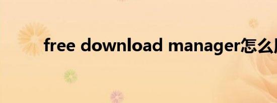 free download manager怎么用