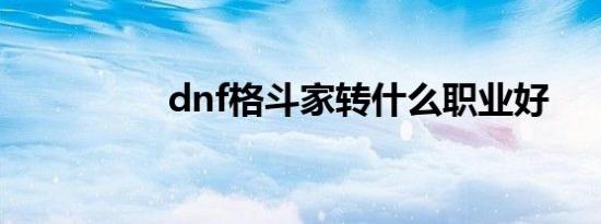 dnf格斗家转什么职业好