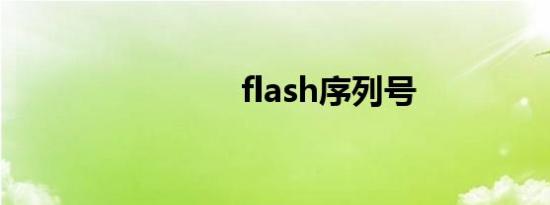 flash序列号