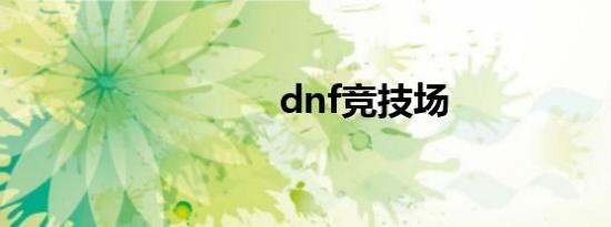 dnf竞技场