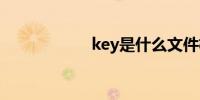 key是什么文件格式