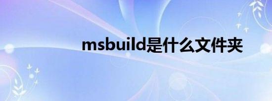 msbuild是什么文件夹