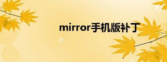 mirror手机版补丁