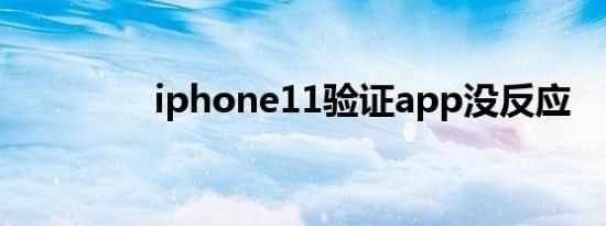 iphone11验证app没反应