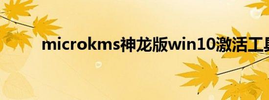 microkms神龙版win10激活工具