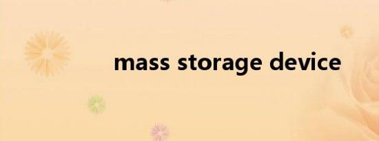 mass storage device