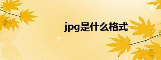 jpg是什么格式