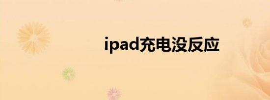 ipad充电没反应