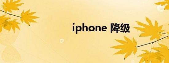 iphone 降级