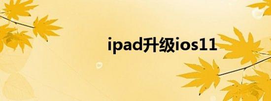 ipad升级ios11