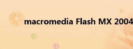 macromedia Flash MX 2004