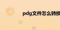 pdg文件怎么转换成pdf