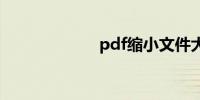 pdf缩小文件大小