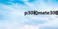 p30和mate30哪个好