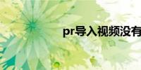 pr导入视频没有音频