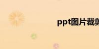 ppt图片裁剪