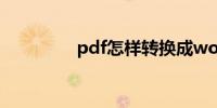 pdf怎样转换成word格式