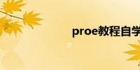 proe教程自学网