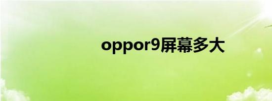 oppor9屏幕多大