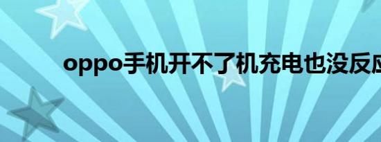 oppo手机开不了机充电也没反应