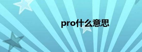 pro什么意思