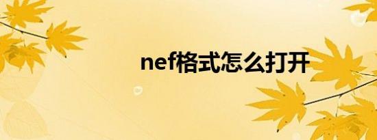 nef格式怎么打开