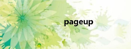 pageup