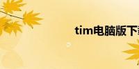 tim电脑版下载