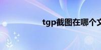 tgp截图在哪个文件夹