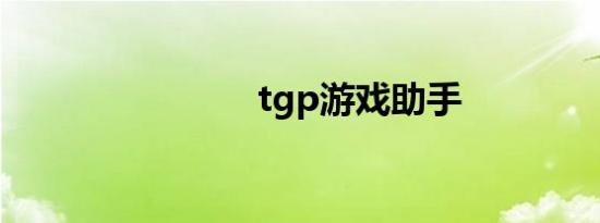 tgp游戏助手