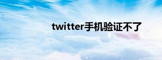 twitter手机验证不了