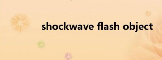 shockwave flash object