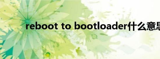 reboot to bootloader什么意思