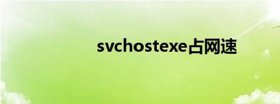 svchostexe占网速