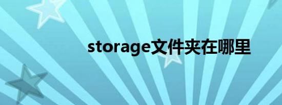 storage文件夹在哪里