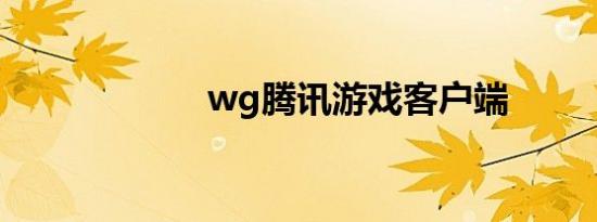 wg腾讯游戏客户端