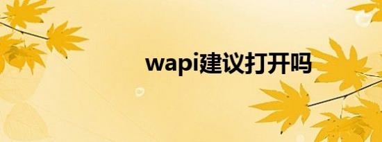 wapi建议打开吗