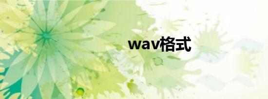 wav格式