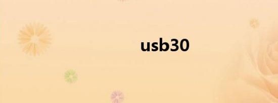 usb30