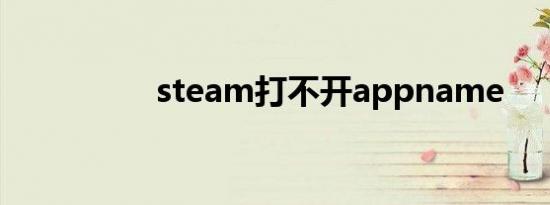 steam打不开appname