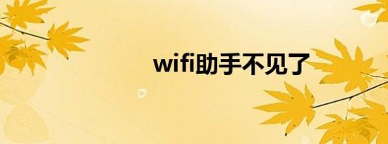 wifi助手不见了