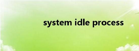 system idle process