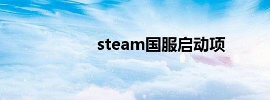 steam国服启动项