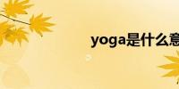 yoga是什么意思