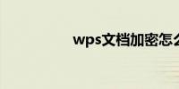 wps文档加密怎么设置