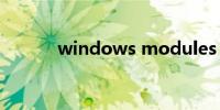 windows modules installer