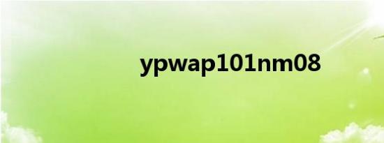 ypwap101nm08